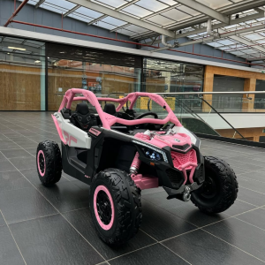 Buggy Cam-Am Maverick XRC